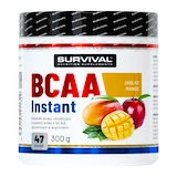 Aminokyselina Survival  Instant Amino Fair Power 400 g