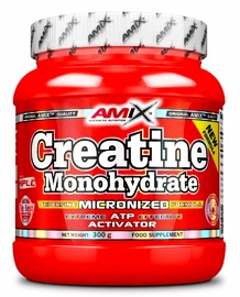 Amix Creatine Monohydrate 300 g