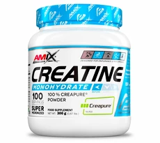 Amix Creatine Monohydrate Creapure 300 g