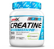 Amix Creatine Monohydrate Creapure 300 g