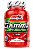Amix Gamma Oryzanol 200 mg 120 kapsúl