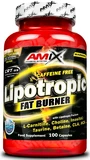 Amix Lipotropic Fat Burner 200 kapsúl