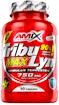 Amix TribuLyn Max 90 % 90 kapsúl