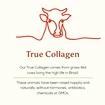 Ancient + Brave Coffee + Grass Fed Collagen 250 g