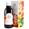 Bilegria  Bylinný sirup INUMA 200 ml