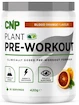 CNP