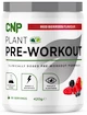 CNP