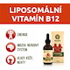 Ekolife Natura Liposomal Vitamin B12 ( Lipozomálny vitamín B12 ) 60 ml