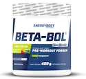 EnergyBody