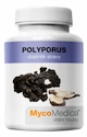 EXP MycoMedica  Polyporus 90 kapslí