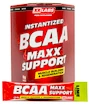 EXP Xxlabs Instant BCAA Maxx Support 310 g pomeranč