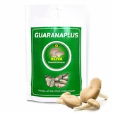 GuaranaPlus Hlíva ústřičná XL 400 kapslí