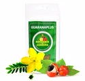 GuaranaPlus  Kotvičník + Guarana prášek 100 g