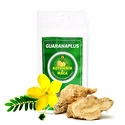 GuaranaPlus Kotvičník + Maca prášek 100 g