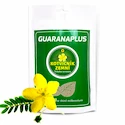 GuaranaPlus  Kotvičník zemní prášek XL 600 g