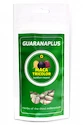 GuaranaPlus  Maca Tricolor 100 kapslí