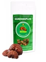 GuaranaPlus Reishi 100 kapslí