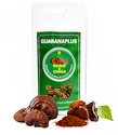 GuaranaPlus  Reishi + Chaga 100 kapslí