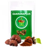 GuaranaPlus Reishi + Chaga XL 400 kapslí