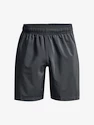 Kraťasy Under Armour UA Woven Graphic Shorts-GRY