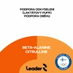 Leader Beta Alanine + Citruline 1:1 200 g