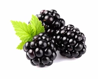 Lifelike Lyofilizované černice 50 g