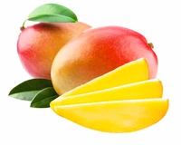 Lifelike Mango plátky 250 g