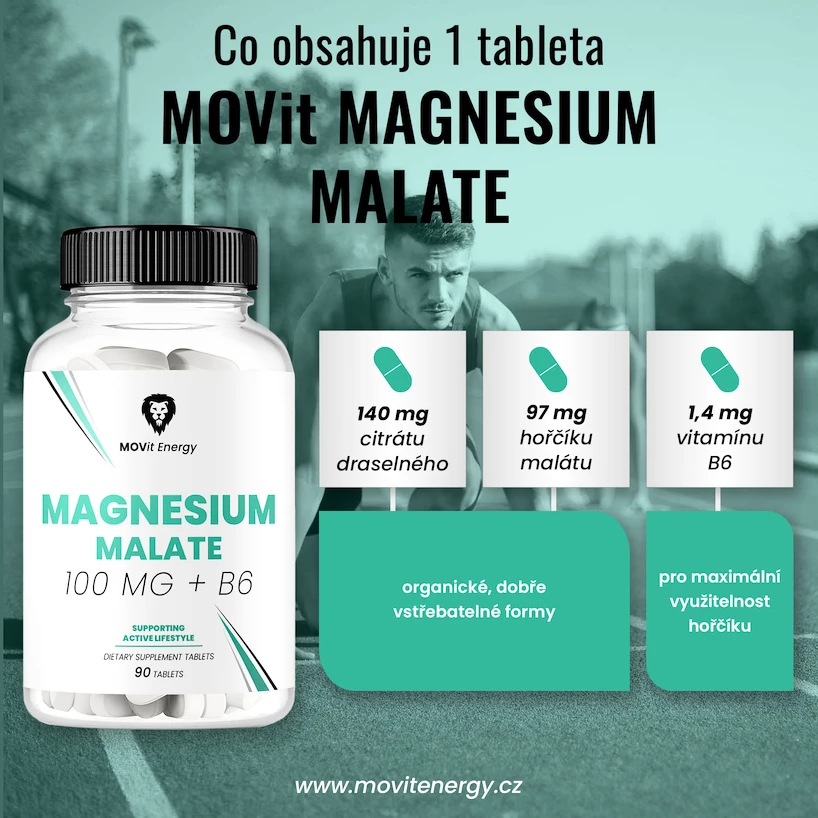 MOVit  Magnesium Malate 100 mg + B6 90 tablet