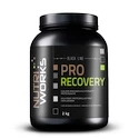 NutriWorks Pro Recovery 2000 g