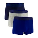 Pánske boxerky Under Armour Perf Tech Solid 3in 3Pack Royal