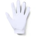 Pánske rukavice Under Armour  Medal Golf Glove grey LLG