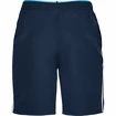 Pánske šortky Under Armour  Qualifier WG Perf Short Navy