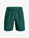 Pánske šortky Under Armour  Woven Graphic Shorts-GRN
