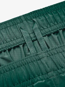 Pánske šortky Under Armour  Woven Graphic Shorts-GRN