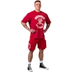 Pánske tričko Nebbia NEBBIA x OLYMPIA Washed Oversized T-Shirt GOLDEN AGE 790 red