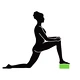 Step mostík Schildkröt Yoga Block Green