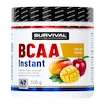 Survival  Instant Amino Fair Power 300 g