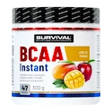 Survival  Instant Amino Fair Power 300 g