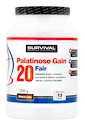 Survival  Palatinose Gain 20 1200 g