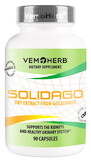 VemoHerb Solidago (Zlatobyľ obyčajný) 90 kapsúl