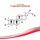 Vemoherb Turkesterone 60 kapslí