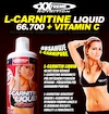 Xxlabs